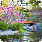 com.gardenwalllock.hdwallpaper