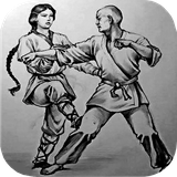 ir.tinasoft.wing_chun_at_home