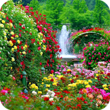 com.garden.wallpaper.gardenbestwallpaper