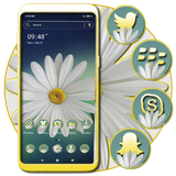 alice.white.daisy.theme