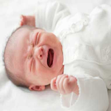 ir.darmane.delpeche.nozadan.d