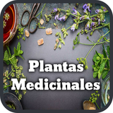 com.ginortcar.plantas.medicinales.medicina.natural