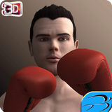 com.ABswiftGames.RealBoxingLegend