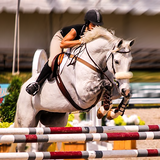 com.mixigreestudio.horsederbyquest.myhorse.horseracing.trainvshorseracing.horsegames.horsejumping