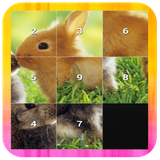 com.thefunappsg.slidepuzzleanimal