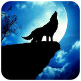 com.hd.foxwallpaper.fox.wallpapers