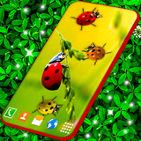 ladybugs.free.live.wallpaper