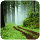 com.apsmiidiszt.soheiljafarian.gilan