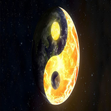 sinsin.talebini.eching