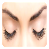 com.andromo.dev565055.app782856