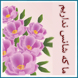 roman.irir.makeshansnadarim