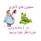ir.mrmmaku.lagari