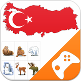 turkish.funny.game.vocabulary.word