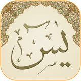 crystals.pixels.surah.yasin.sudais.misharay.audio