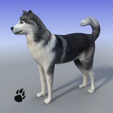 com.wildfoot.snow.dog.simulator