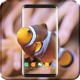 com.wallpaper.sam.tim997.clownfish