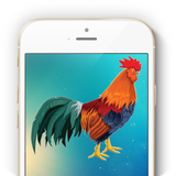 ringtones.alarms.rooster