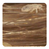 com.andromo.dev667101.app672597