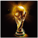 ir.android.worldcup
