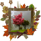 com.AutumnPhotoFramesn