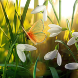 com.amaxlwps.spring
