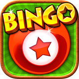 com.lunavalley.bingovip