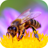 com.andromo.dev230101.app298726