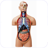 mr.anatomiebadaneensan