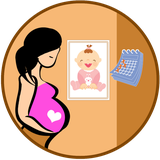 com.grex.pregnancycalculator