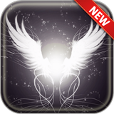 com.modux.angel.wings.wallpapers