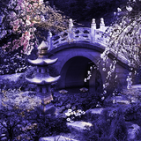 com.livewallpapers3d.freenightsakura