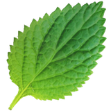 com.afrazgroup.darmanhayegiyahi