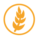 ir.kodbazr.app
