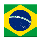 com.shex.beginnerbrazilian