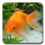 com.anifree.anipet.goldfish.ad