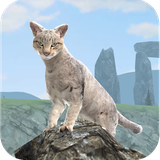com.clan.of.cats
