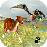 com.wildfoot.bird.dog