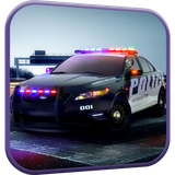 policecar.wsp.com