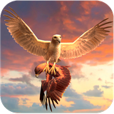 com.clan.of.eagle