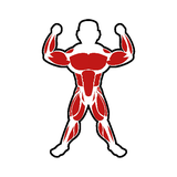 body.body