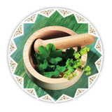 ir.golpar.darmangiahi