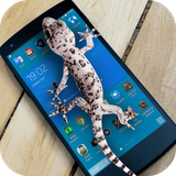 com.jirocoder.lizardinphone