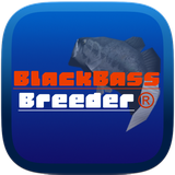che.guevara.jun.blackbassbreeder