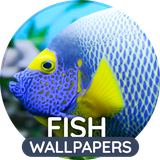 com.easy_wallpapers.fish