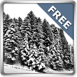 com.hamsterbeat.wallpapers.winter.free