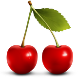 com.hpurgadri.mywords