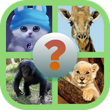 com.hamdysrour.picswordtrytoguess