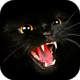 com.goodwallpapers.blackcatwallpaper