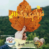 ir.ali.gholami.rybzard