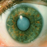 com.peseshksi.abmorvarid